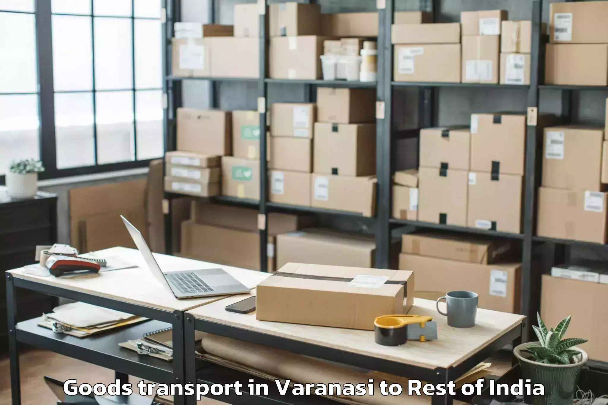 Book Varanasi to Dooru Goods Transport